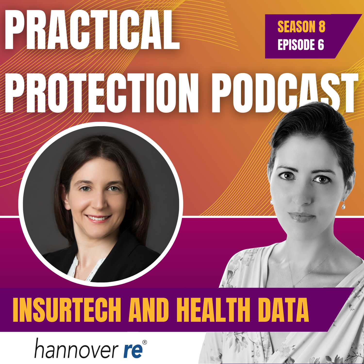 The Practical Protection Podcast