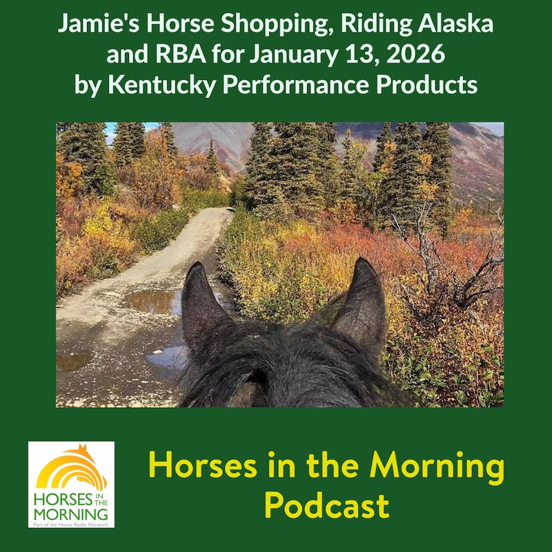 Artwork for podcast Horses in the Morning