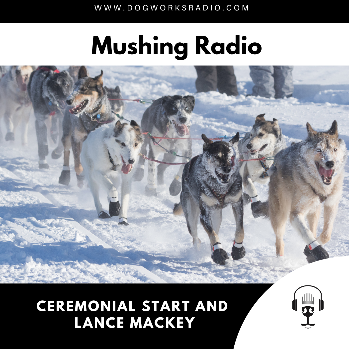 Ceremonial Start and Lance Mackey as Honorary Musher