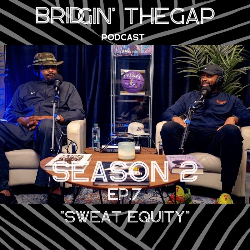 Artwork for podcast Bridgin' The Gap