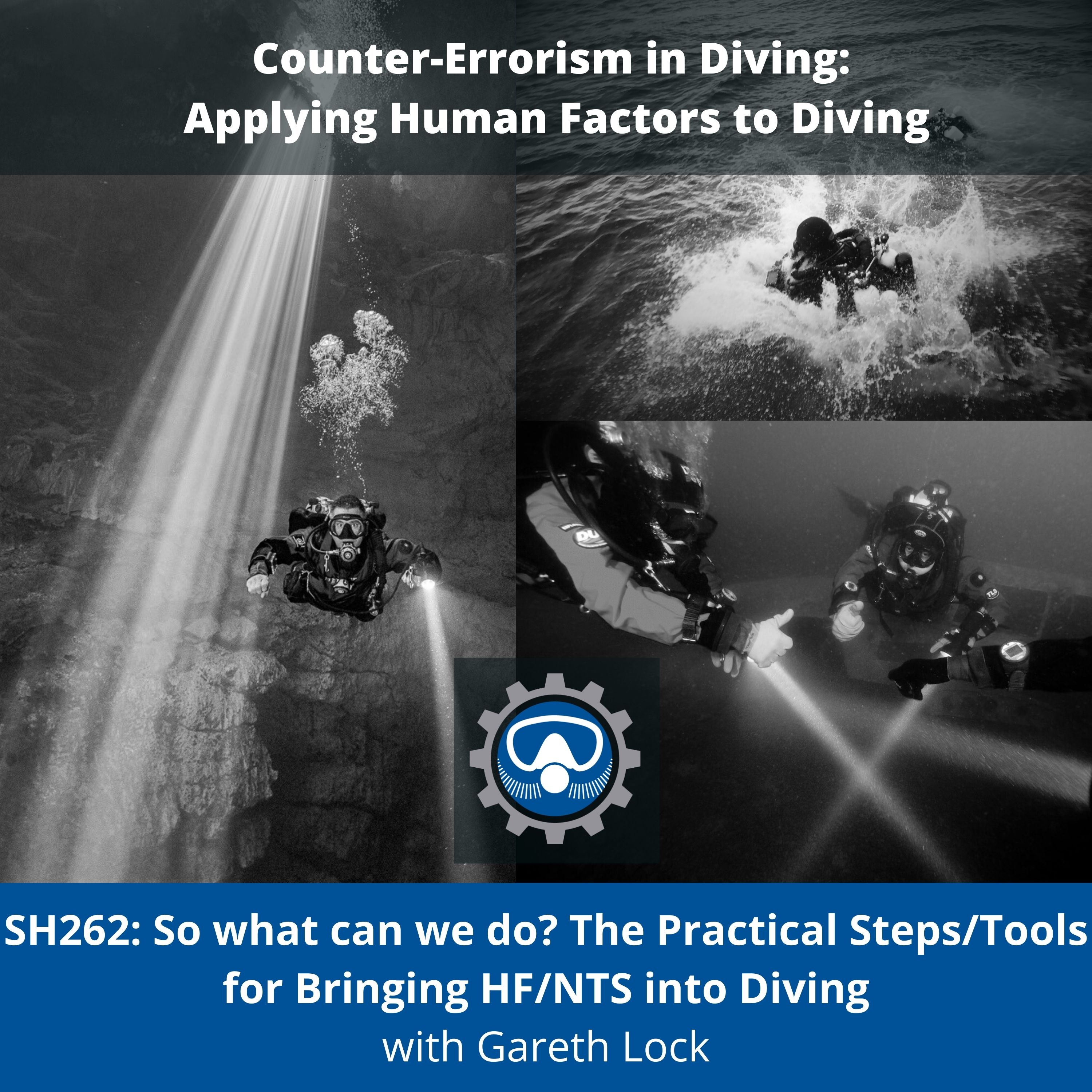 SH262: So what can we do? The Practical Steps/Tools for Bringing HF/NTS into Diving