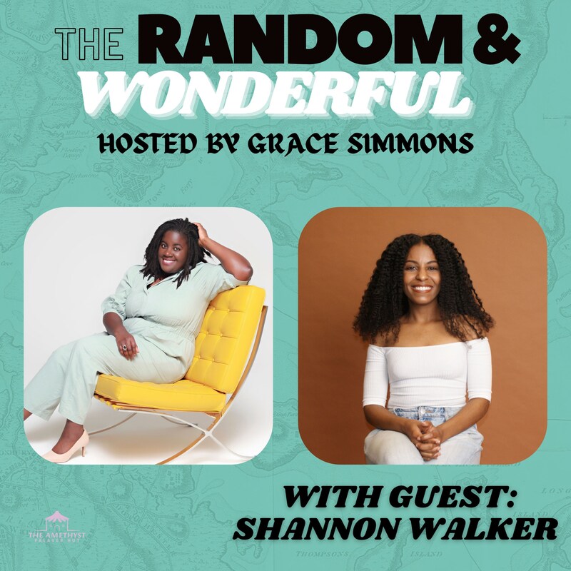Artwork for podcast Random and Wonderful: Conversations about Travel Anxiety, Wellness, and Mindset Shifts