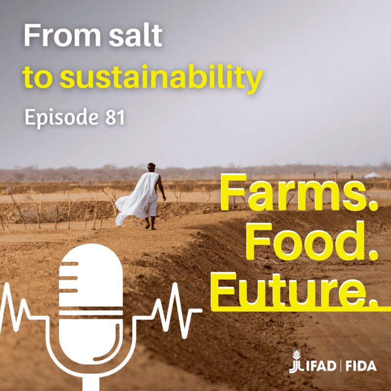 Artwork for podcast Farms. Food. Future.
