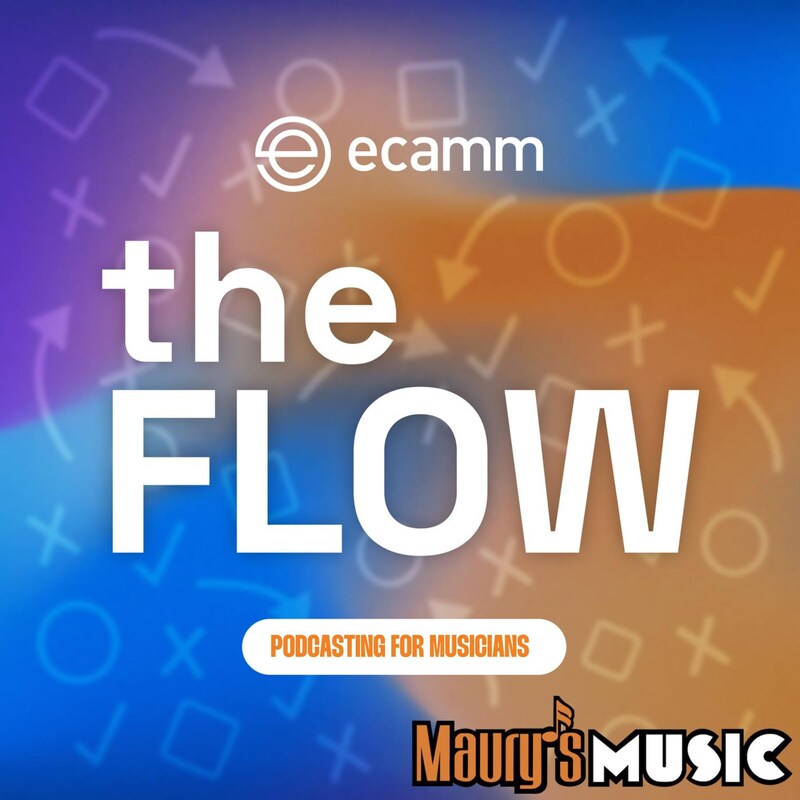 Artwork for podcast The Flow