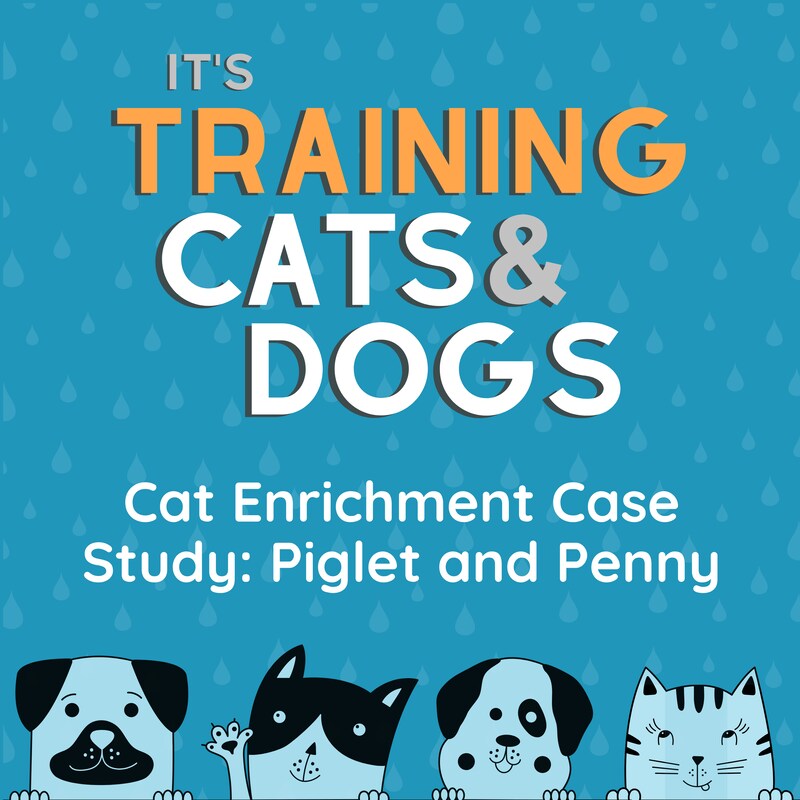 Artwork for podcast It's Training Cats and Dogs!