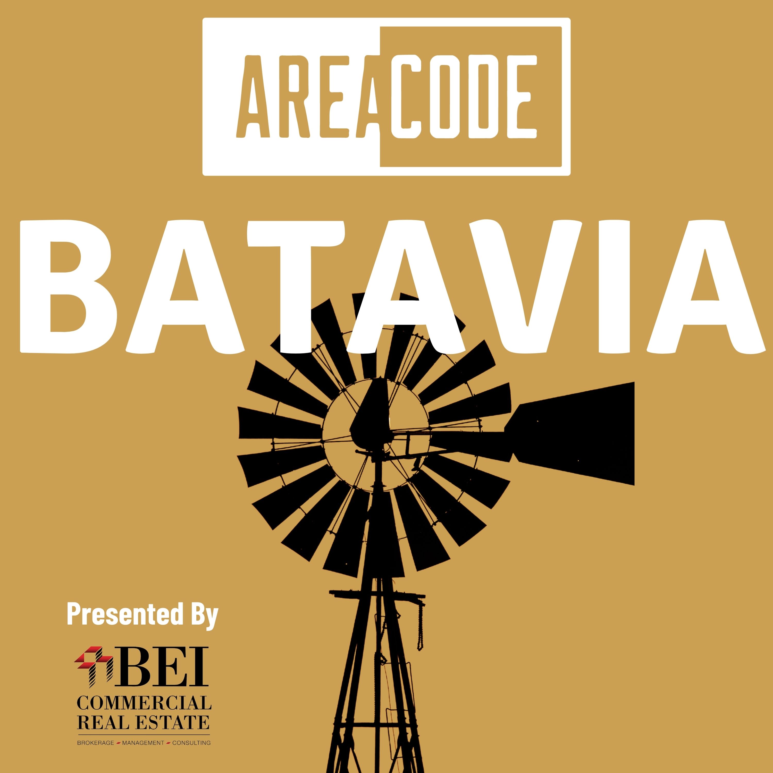 Show artwork for Area Code: Batavia