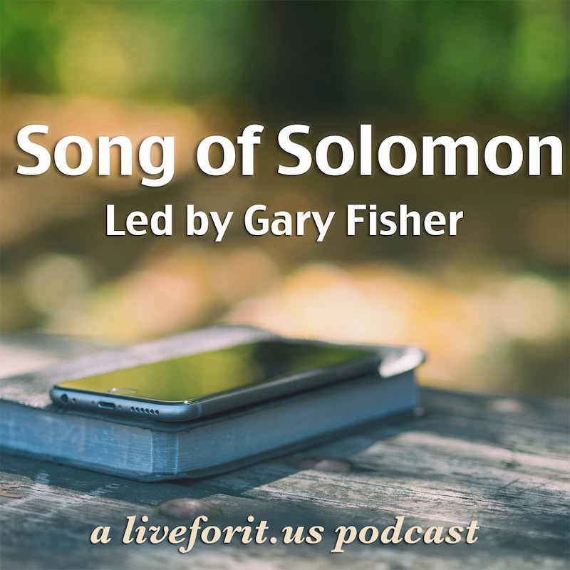 Artwork for podcast Liveforit Song of Solomon Study