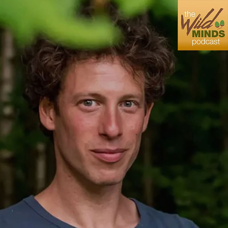 Artwork for podcast The Wild Minds Podcast