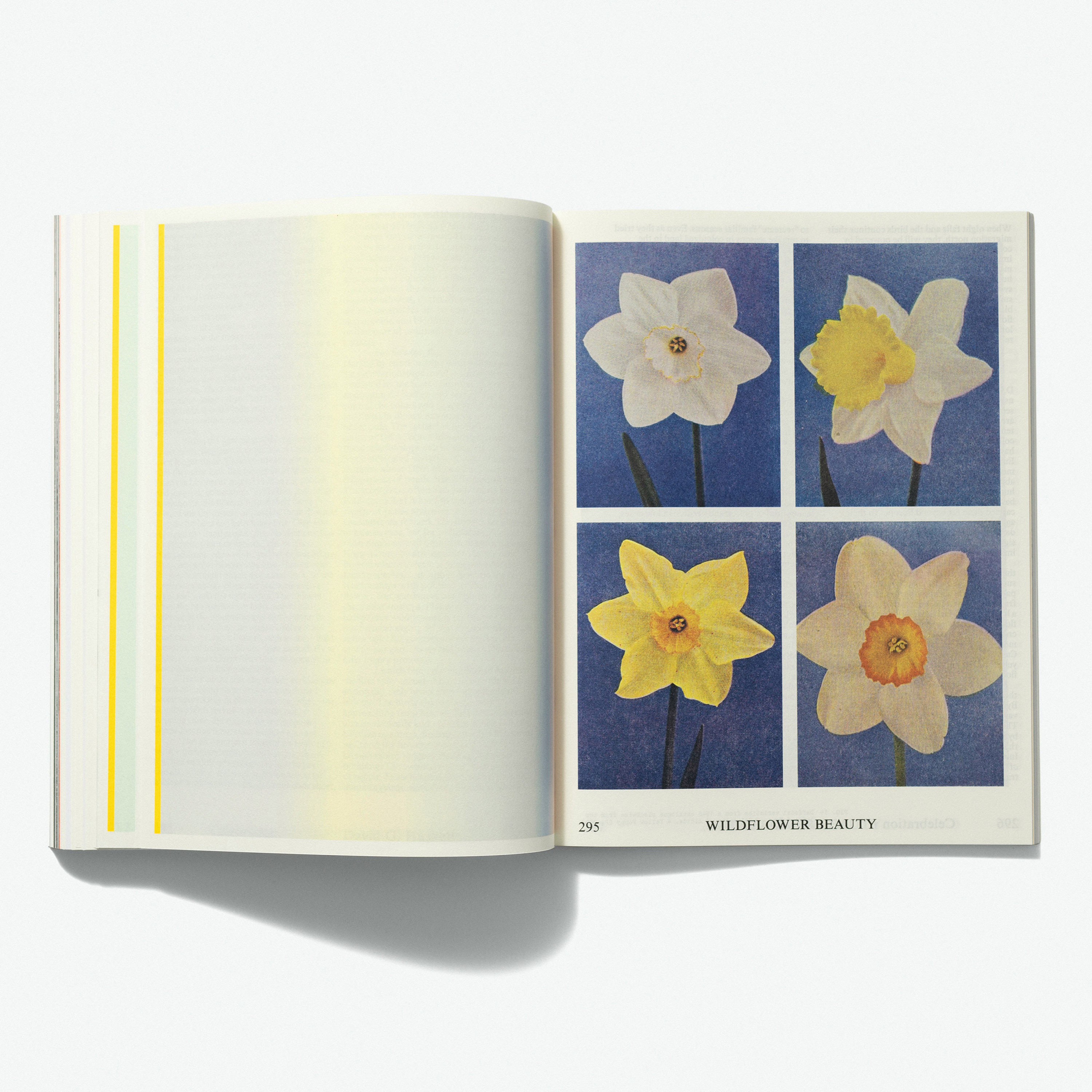 A Thousand Ways to Live Within the Seasons — A Conversation with David G. Haskell, Dara McAnulty, and Emmanuel Vaughan-Lee