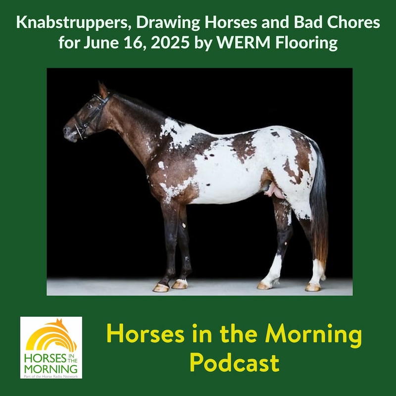 Artwork for podcast Horses in the Morning