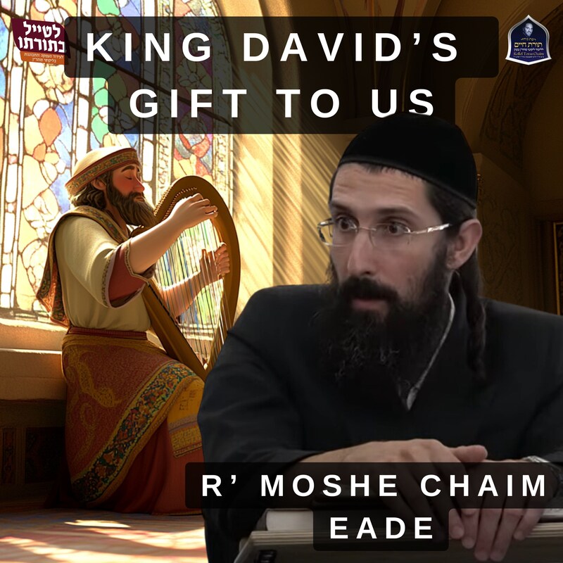Artwork for podcast Kollel Toras Chaim All Shiurim