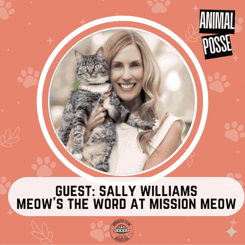 Artwork for podcast Animal Posse