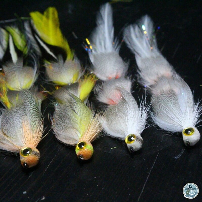 Artwork for podcast The Articulate Fly