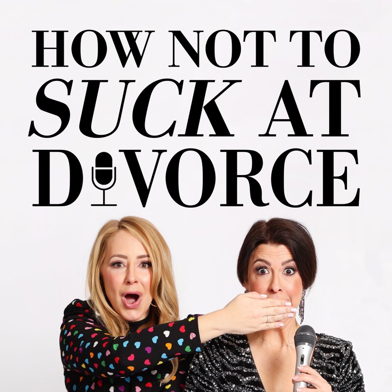 Artwork for podcast How Not To Suck At Divorce