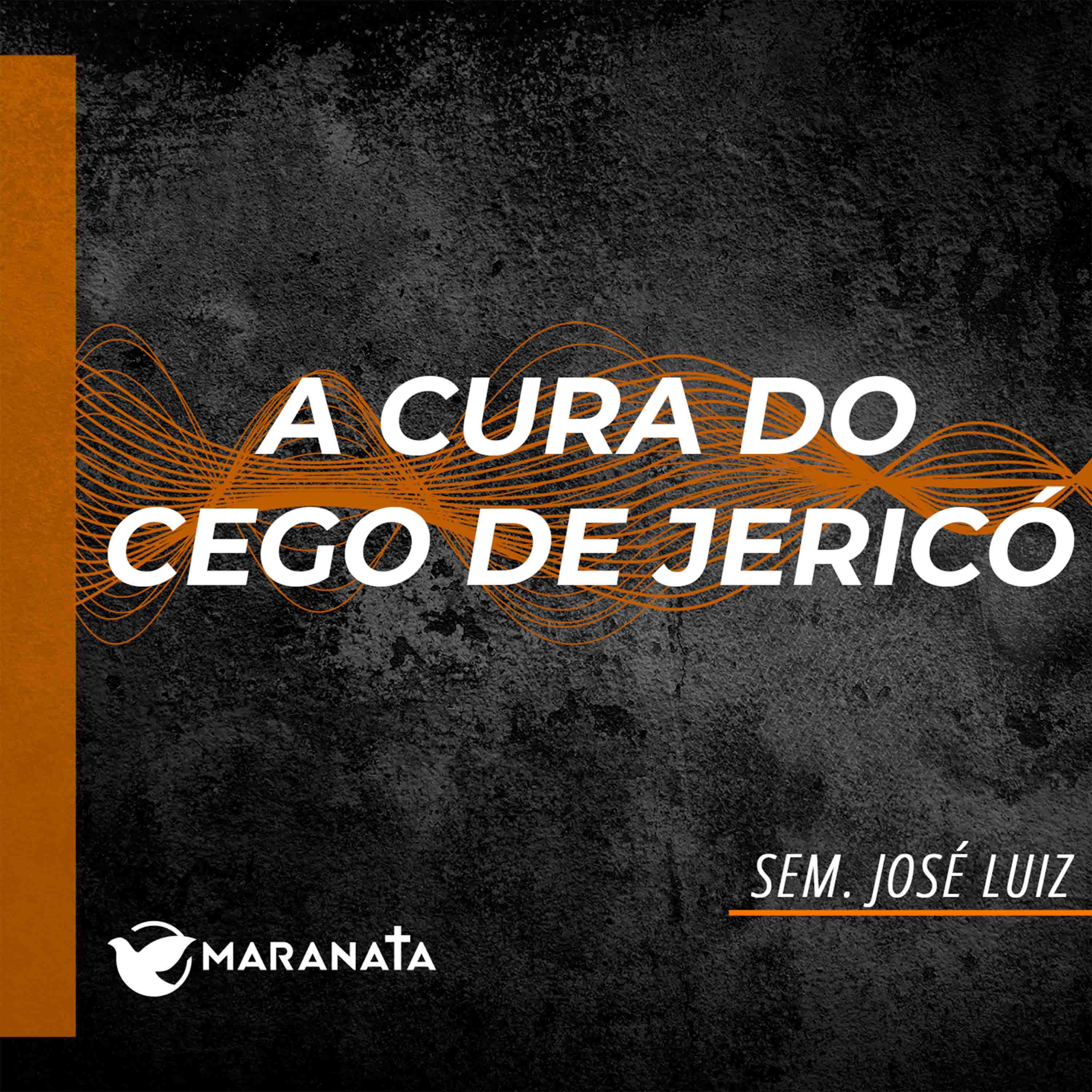 A cura do cego de Jericó - Sem. José Luiz episode artwork