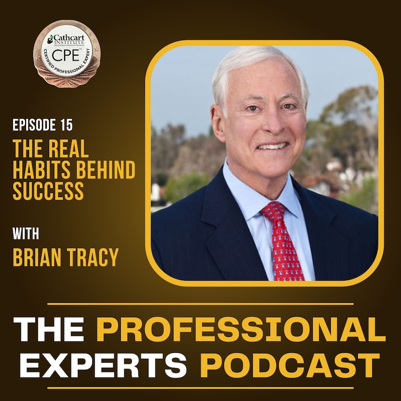 Artwork for podcast The Professional Experts Podcast