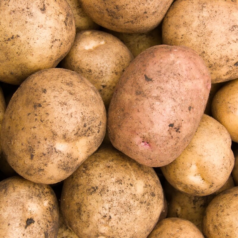 Artwork for podcast AHDB Food & Farming