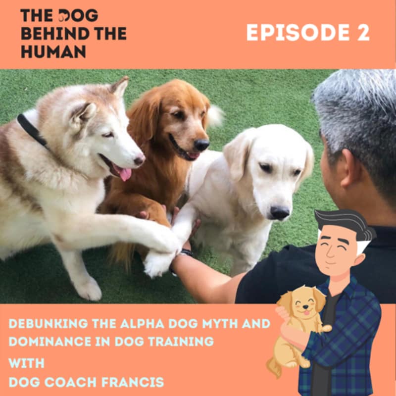 Artwork for podcast The Dog Behind The Human