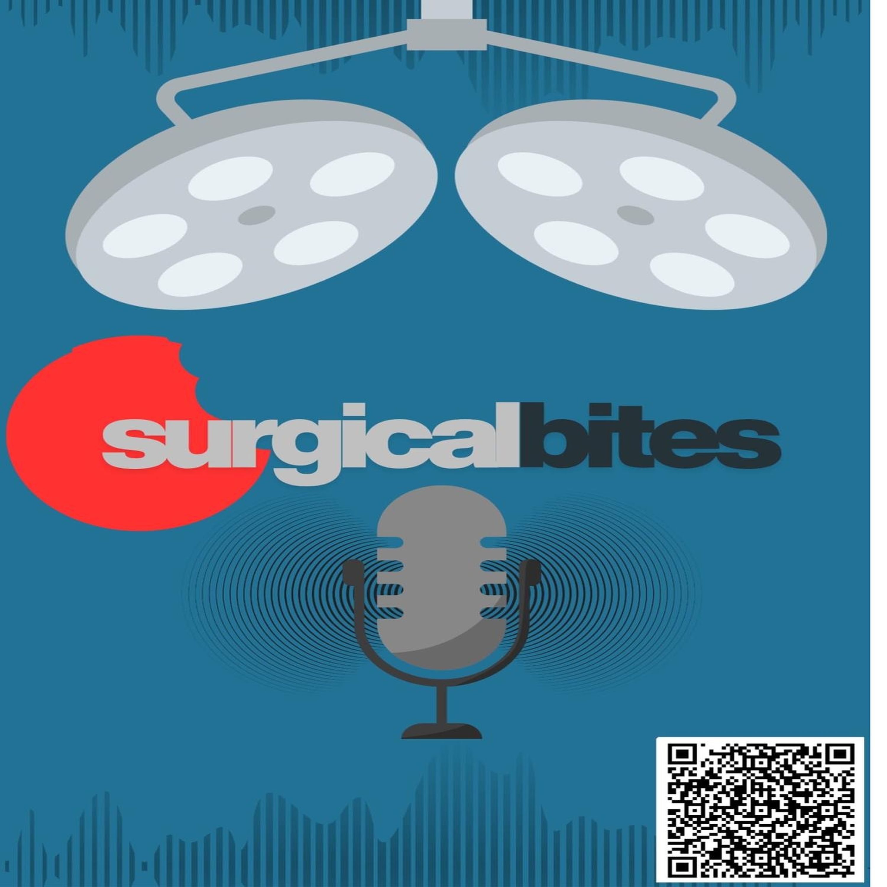 Show artwork for Surgical-Bites