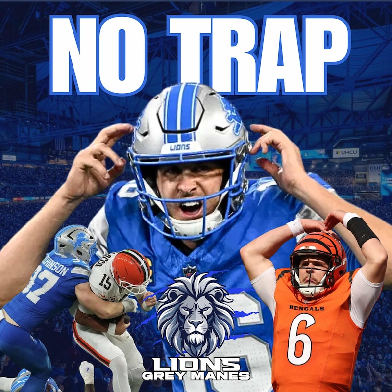 Artwork for podcast Lions Grey Manes