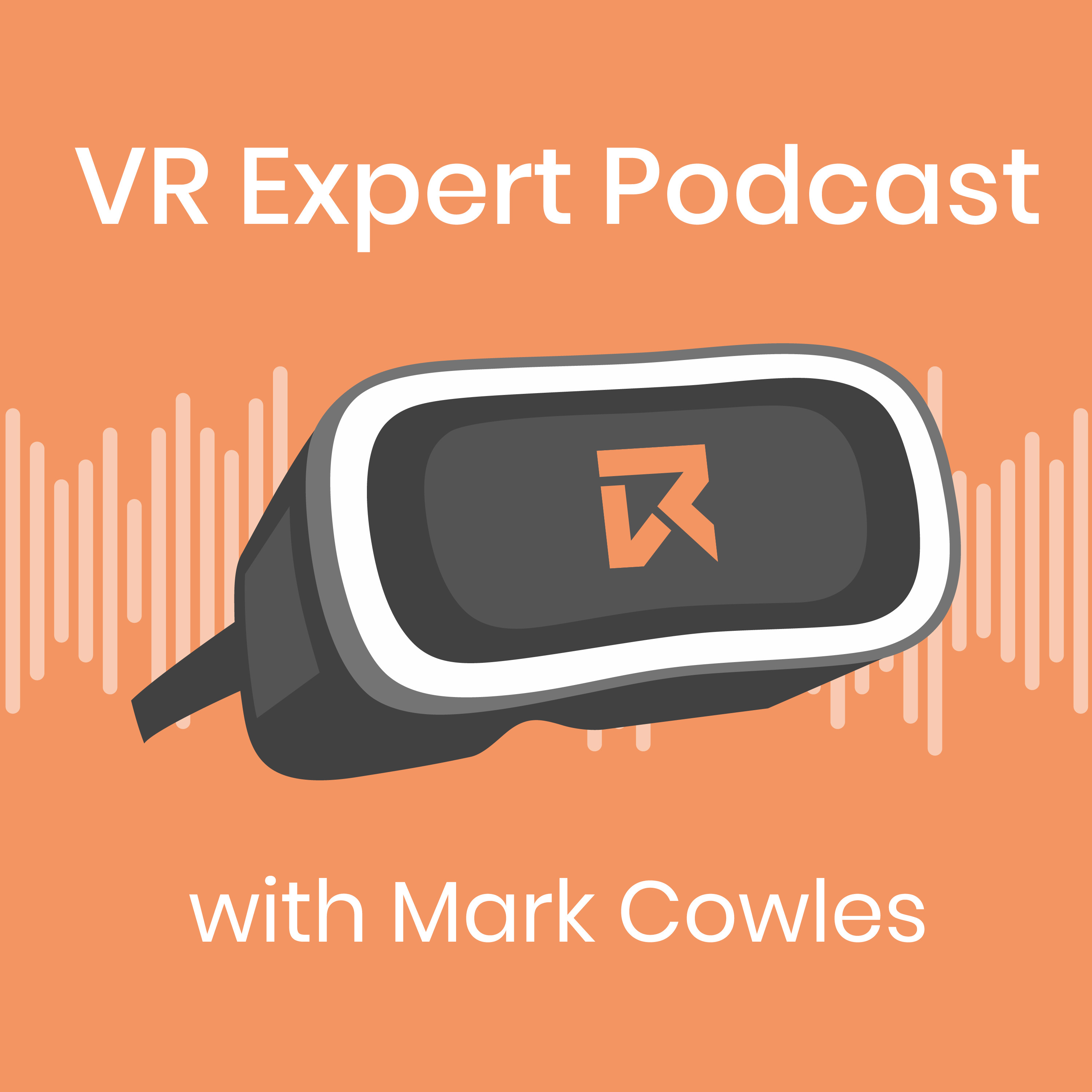 Artwork for podcast VR Expert Podcast