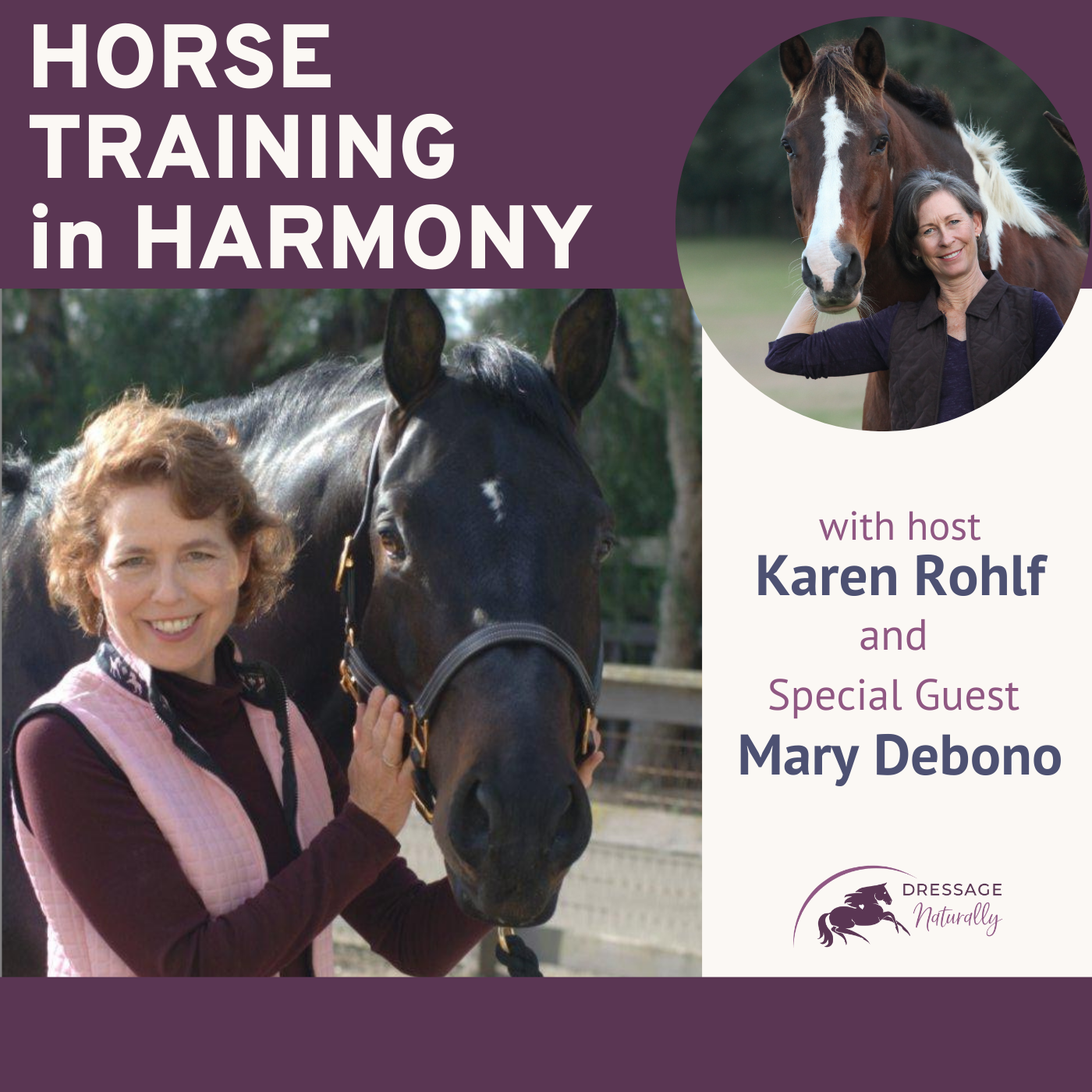 Artwork for podcast Horse Training in Harmony