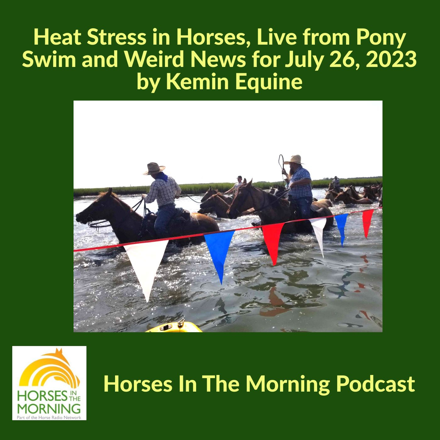 HRN Auditor Podcast
