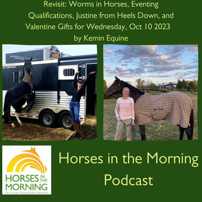 Artwork for podcast Horses in the Morning
