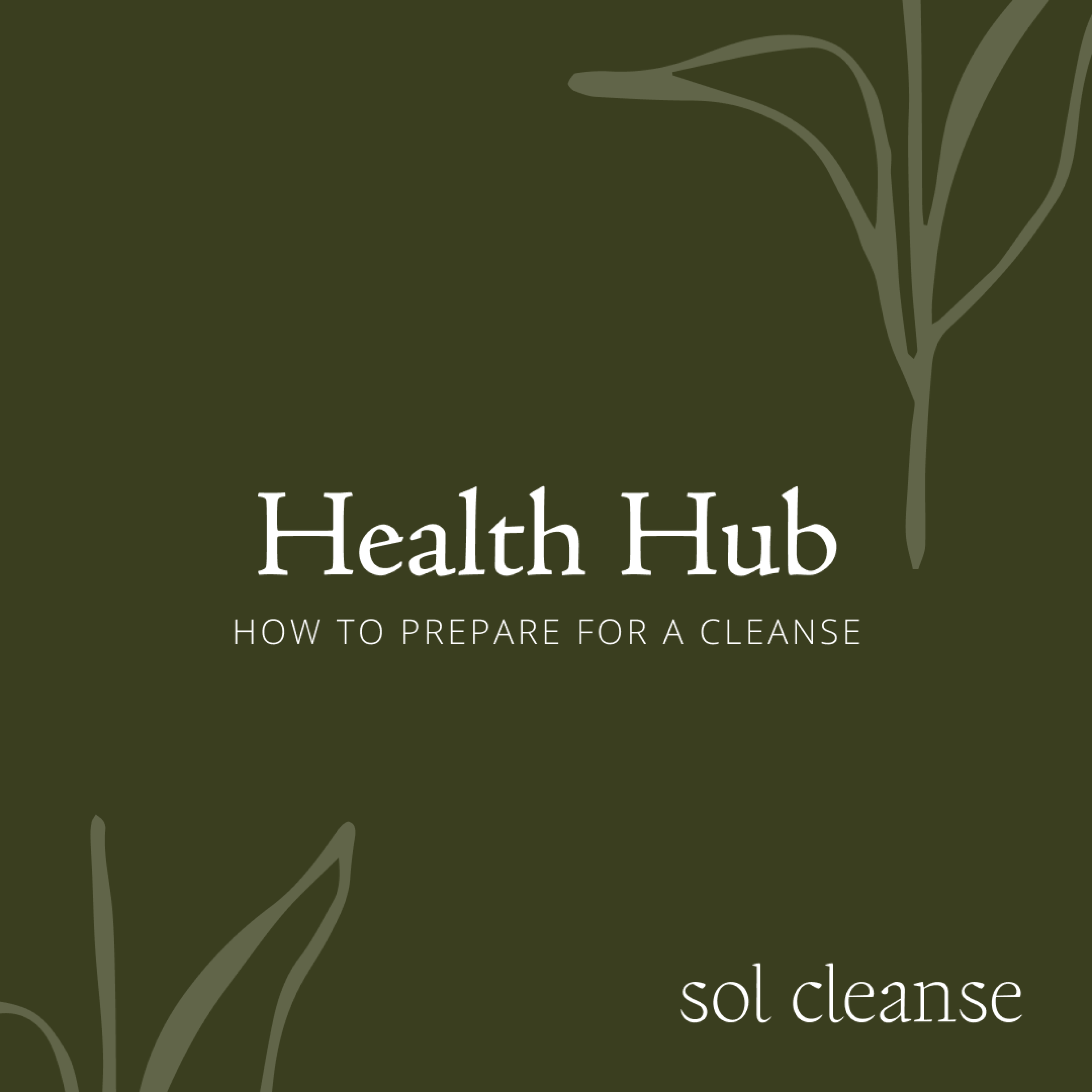 Health Hub: How to prepare for a cleanse