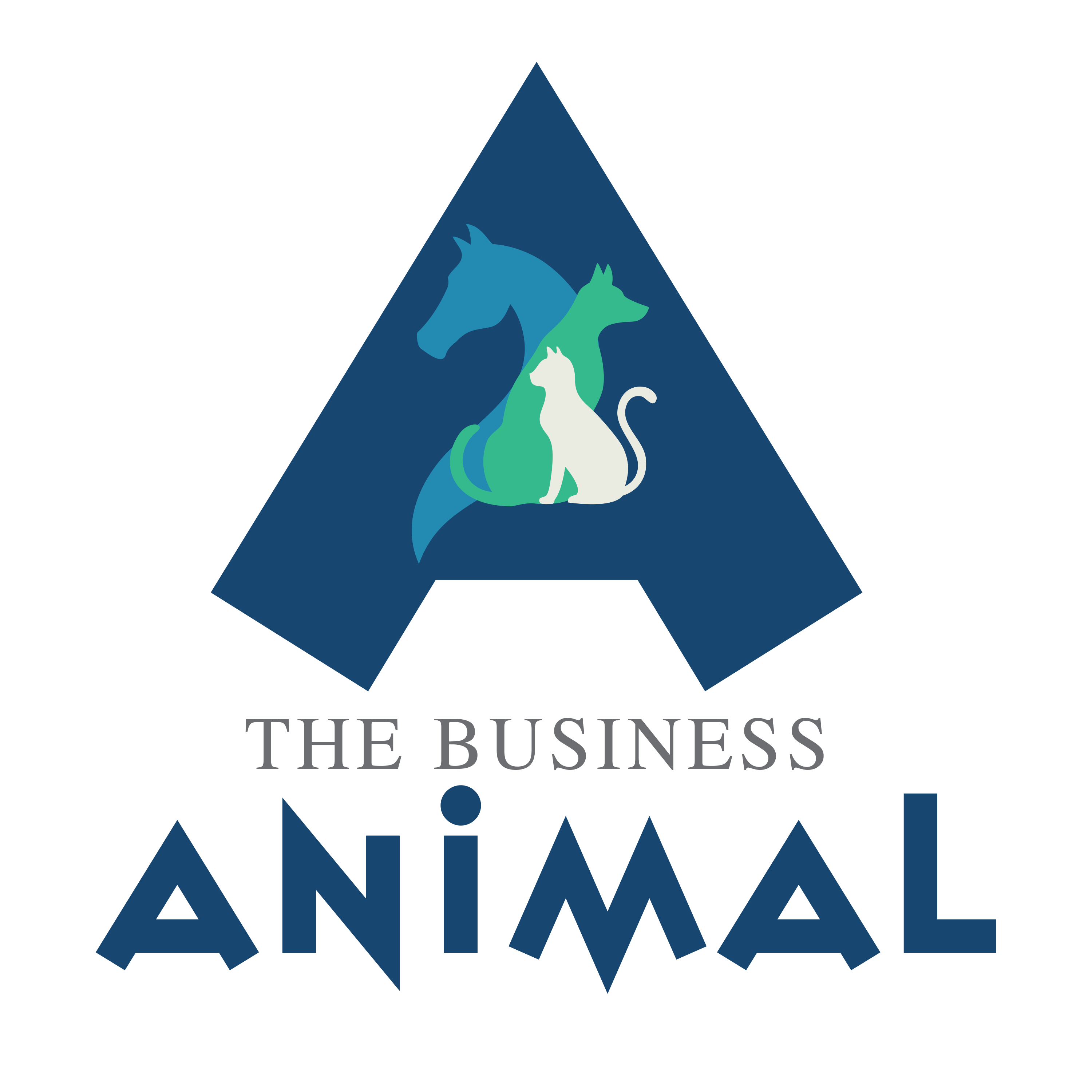 Artwork for The Business Animal