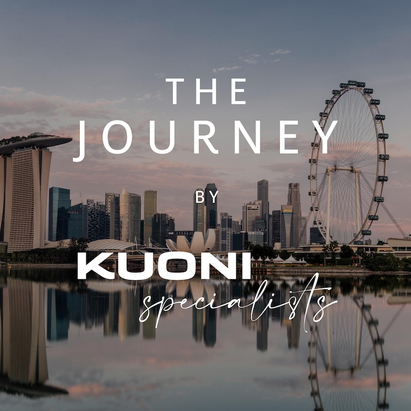 Artwork for podcast The Journey