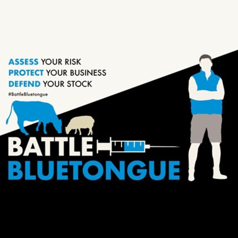 Artwork for podcast AHDB Food & Farming