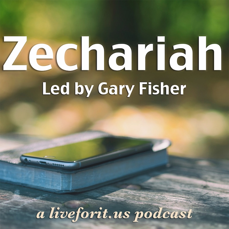 Artwork for podcast Liveforit Zechariah Study