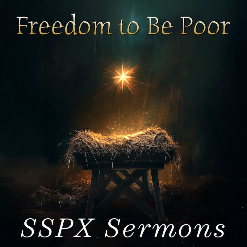 Artwork for podcast SSPX Sermons