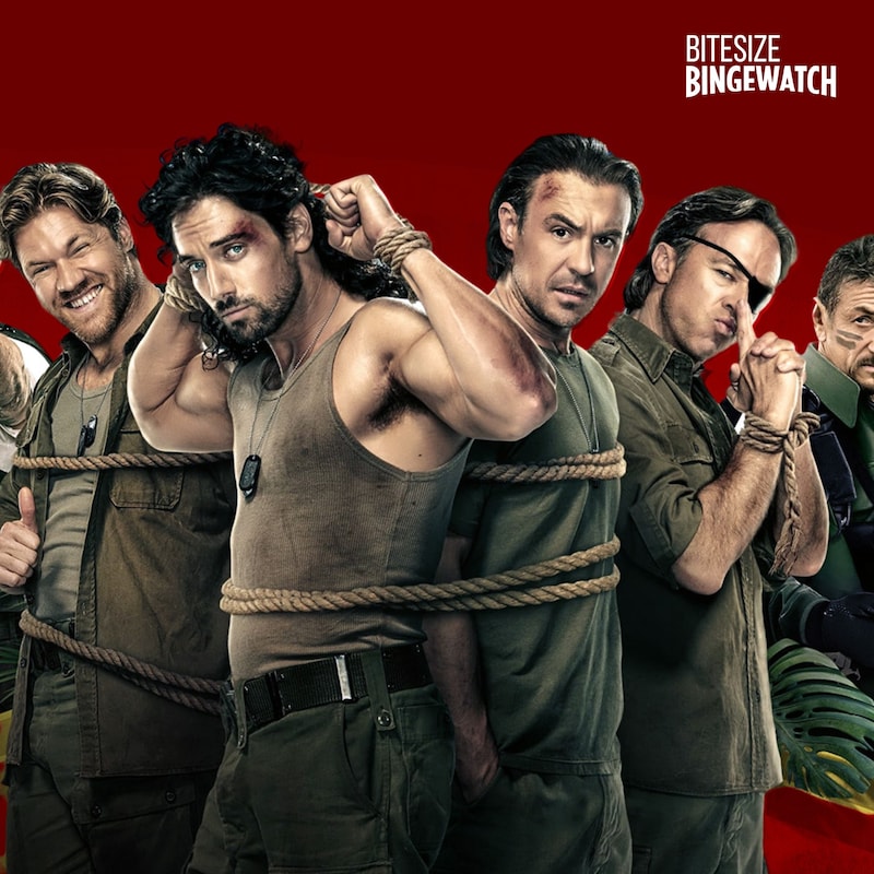 Artwork for podcast Bitesize Bingewatch