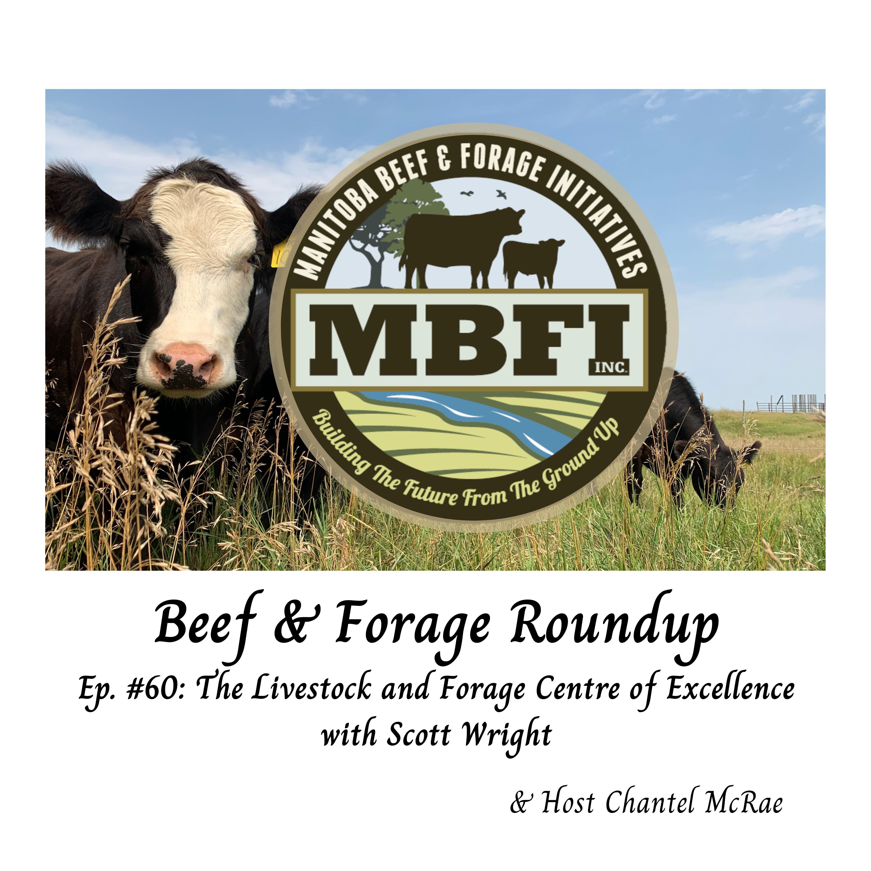 Beef and Forage Roundup