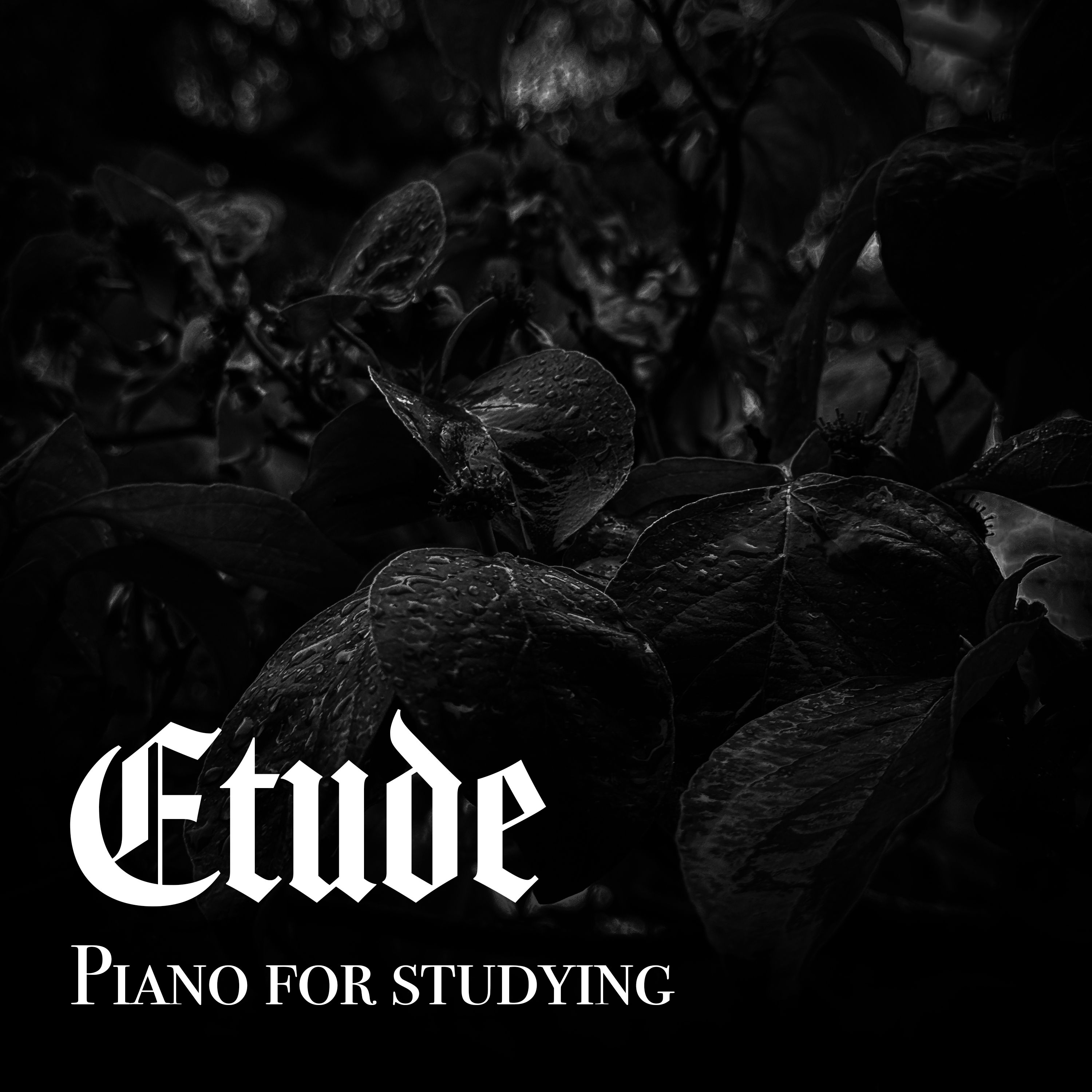 Etude Piano for Studying with Thunderstorm - 8 Hours - "California Queen"