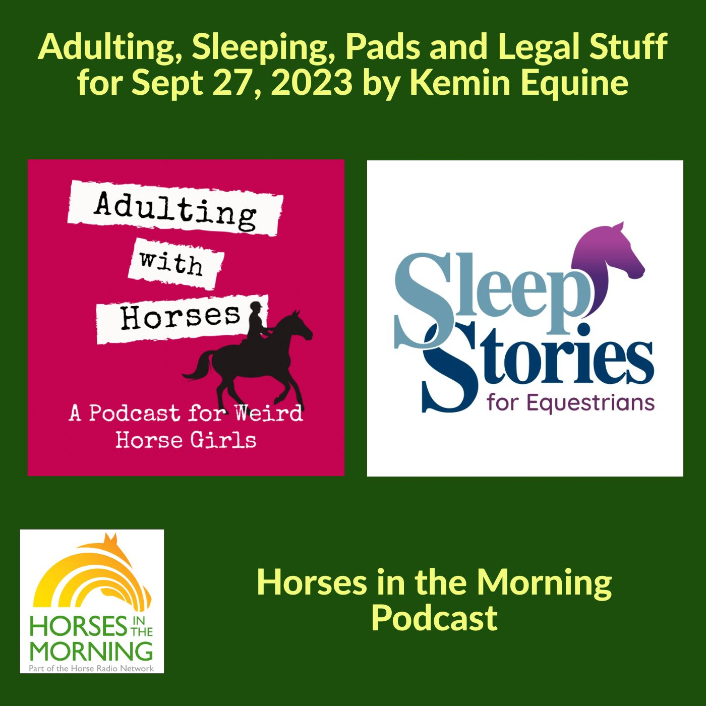 HRN Auditor Podcast