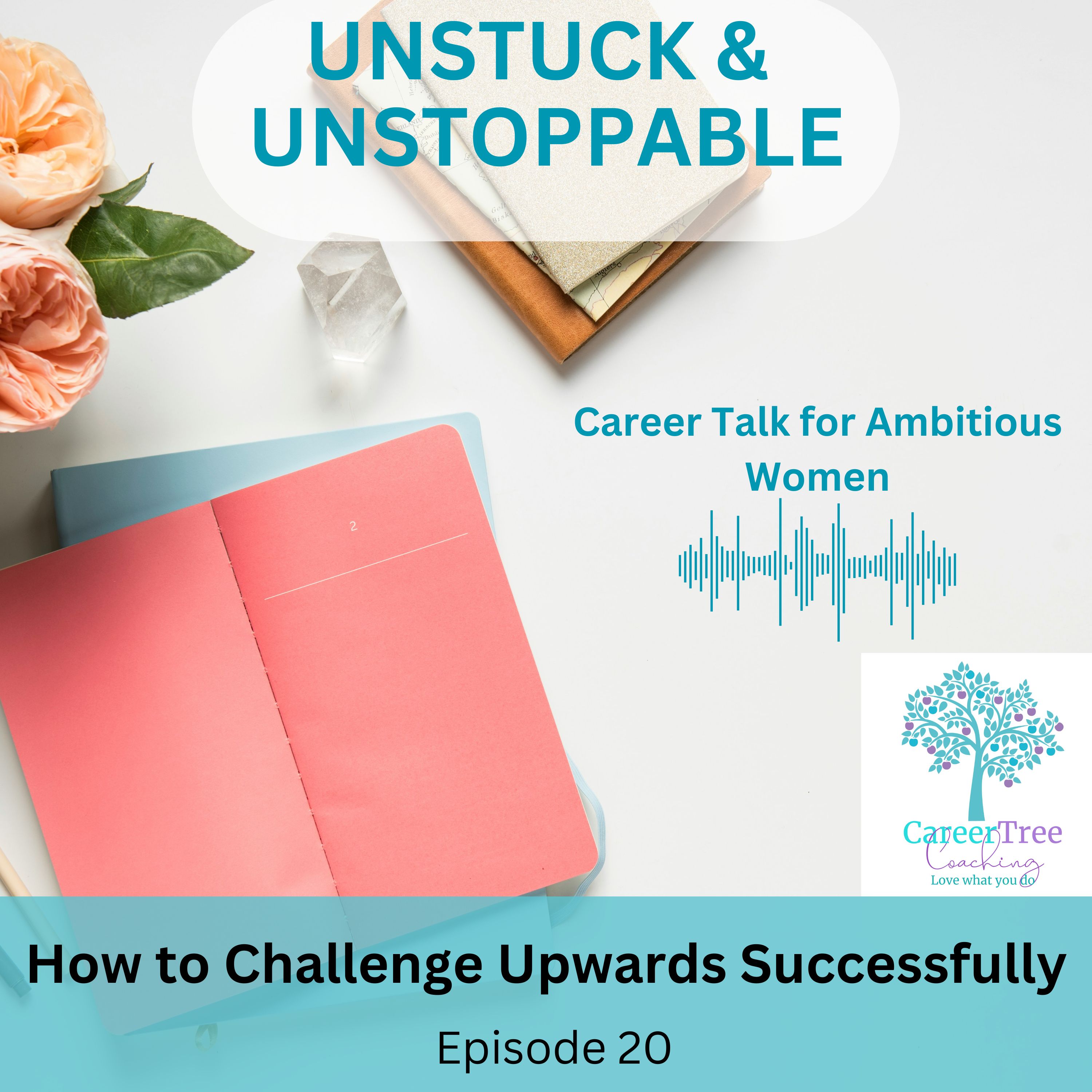 Episode 20 How to Successfully Challenge Upwards in Your Leadership Role