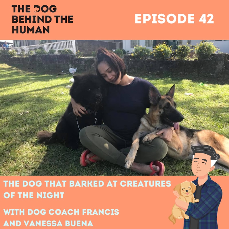 Artwork for podcast The Dog Behind The Human