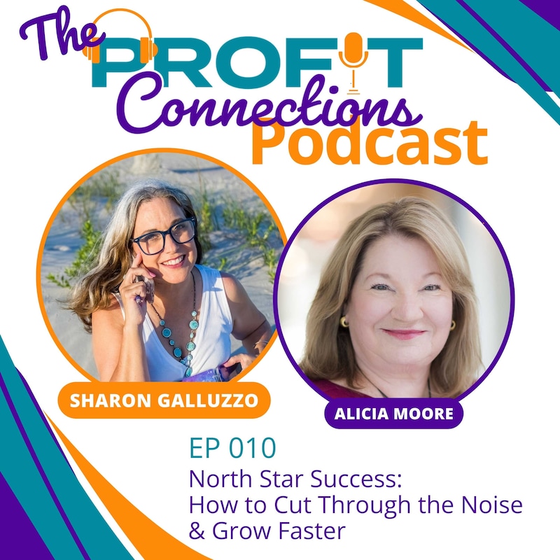 Artwork for podcast The Profit Connections Podcast