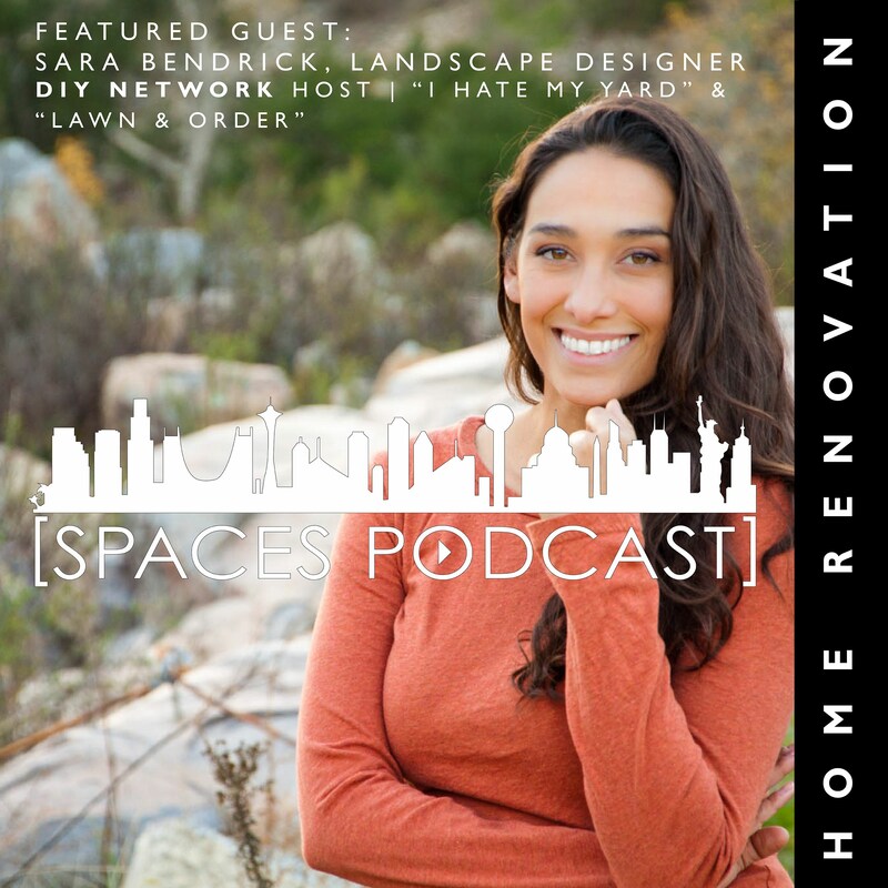 Artwork for podcast Spaces Podcast