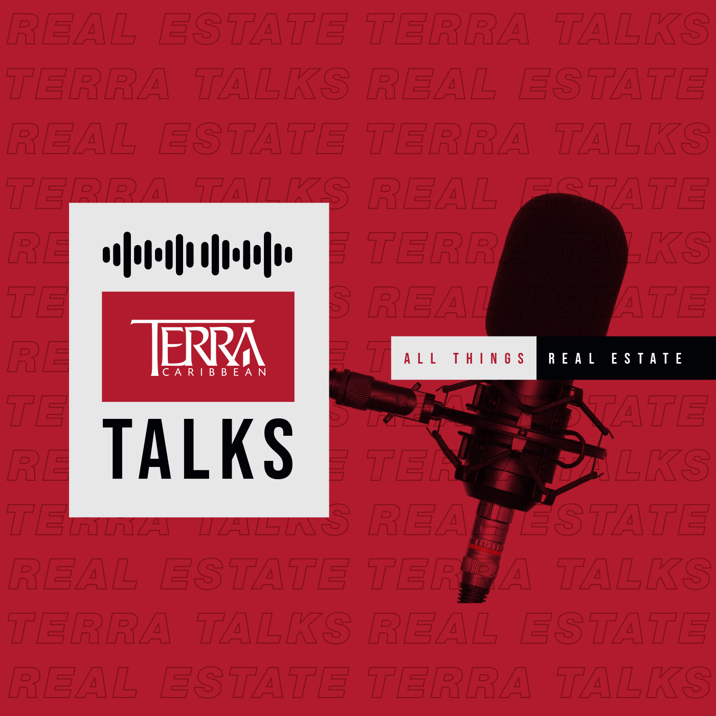 Artwork for podcast Terra Talks