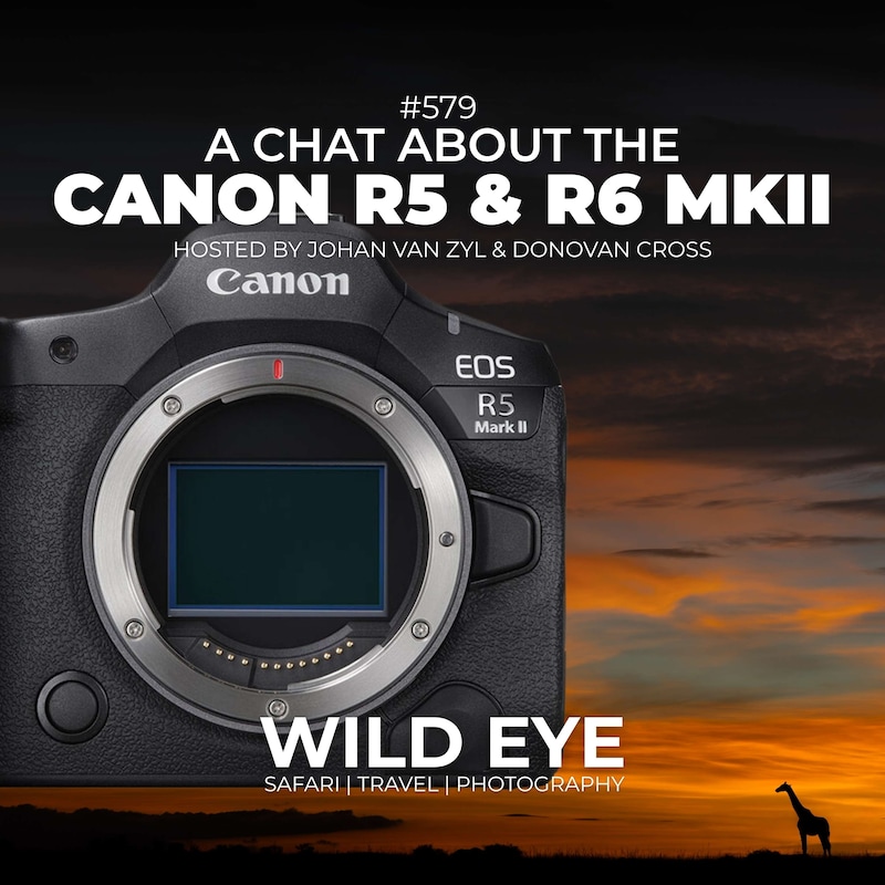 Artwork for podcast The Wild Eye Podcast