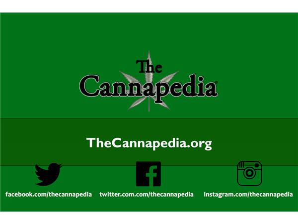 HempAware Radio