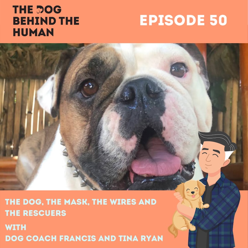Artwork for podcast The Dog Behind The Human