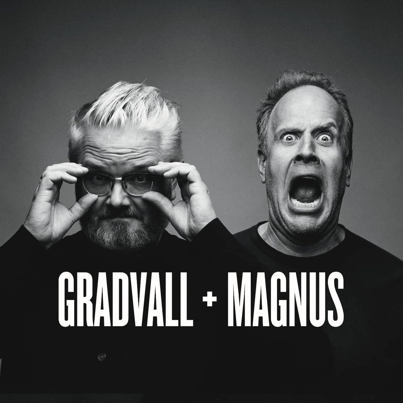 Show artwork for Gradvall + Magnus