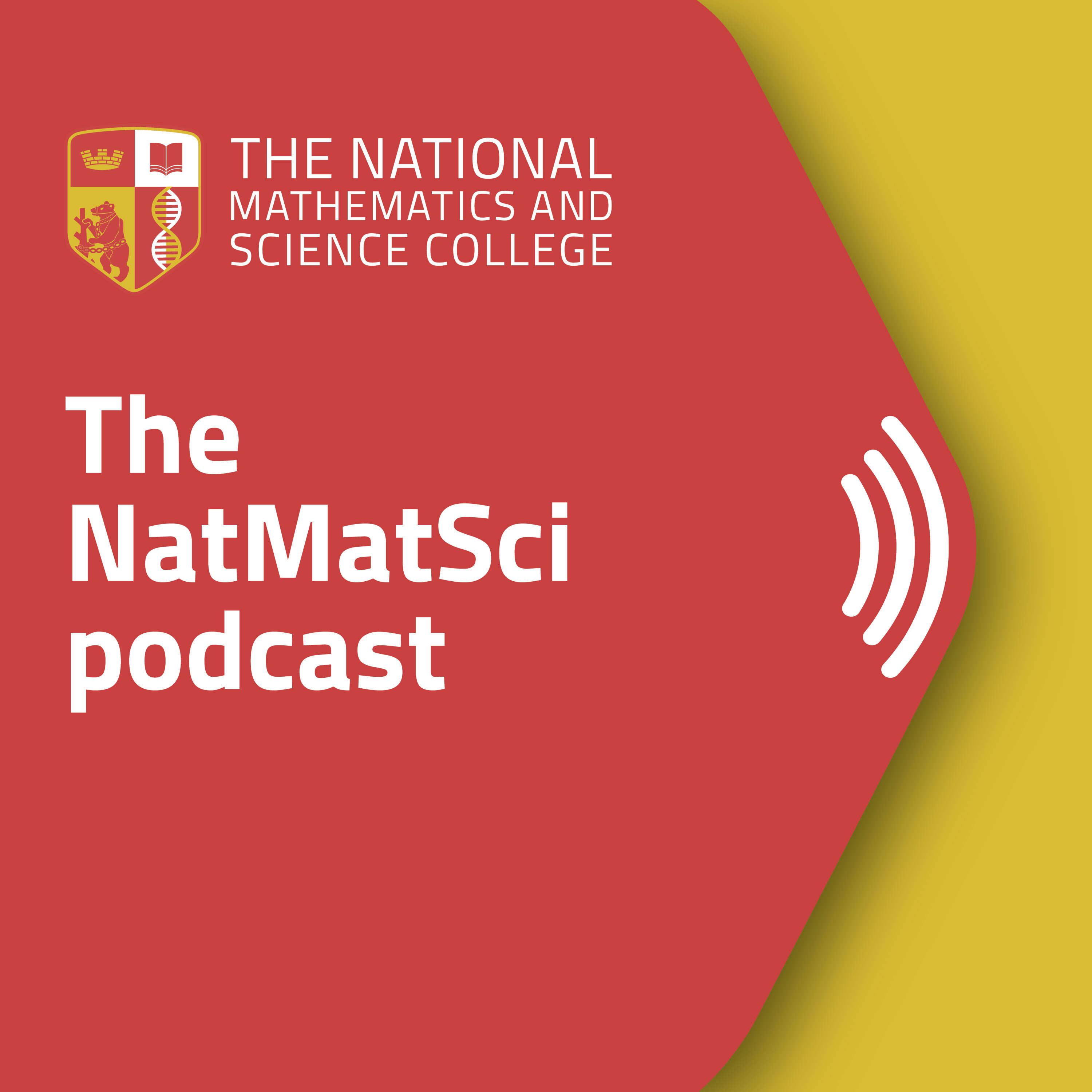 Artwork for podcast The NatMatSci Podcast
