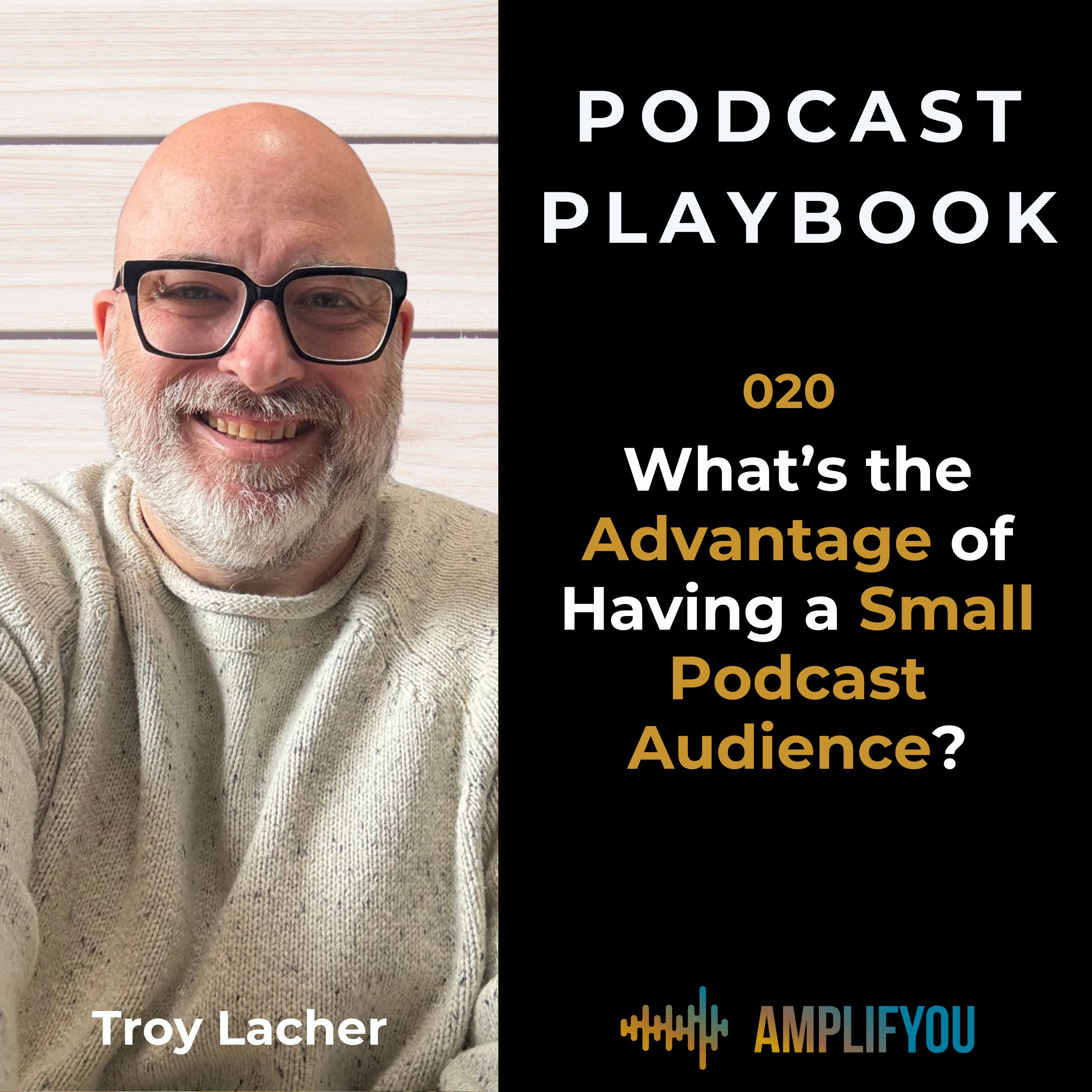 What’s the Real Advantage of a Small Podcast Audience? | 020