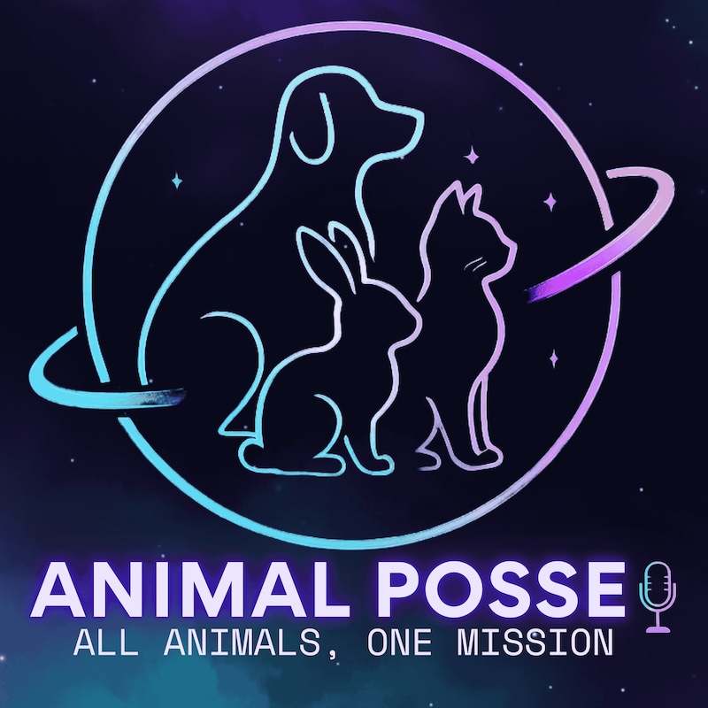 Artwork for podcast Animal Posse